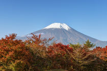 Mt. Fuji by Danita Delimont