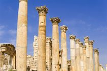 The Cardo, North Colonnaded Street, Jerash, Jordan von Danita Delimont