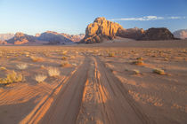 Tracks in the desert, Wadi Rum, Jordan von Danita Delimont
