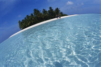 Maldives, Couple walking on beach von Danita Delimont