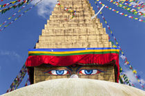 Bodnath Stupa, Kathmandu Valley, Nepal by Danita Delimont