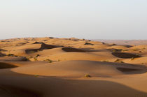 Wahiba Sands desert, Oman von Danita Delimont