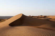 Wahiba Sands desert, Oman von Danita Delimont