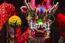Dragon dance celebrating Chinese New Year in China Town, Man... by Danita Delimont