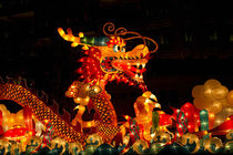 SILK LANTERNS, LANTERN FESTIVAL SINGAPORE by Danita Delimont