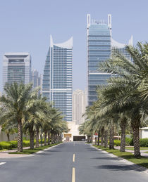 Palm tree lined street in The Springs with modern skyscraper... by Danita Delimont