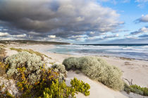 Hanson Bay, Kangaroo Island, Australia von Danita Delimont
