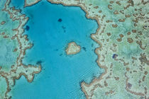 Aerial view of Heart Reef, part of Great Barrier Reef, Queenslan von Danita Delimont