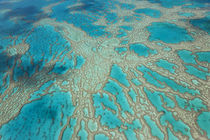 Great Barrier Reef, Queensland, Australia by Danita Delimont