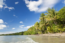 Beach, Cape Tribulation, Daintree National Park, Queensland, Aus von Danita Delimont