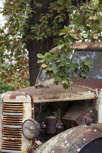 Southwest Australia, Boyup Brook, old truck von Danita Delimont