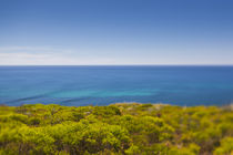 Southwest Australia, Cape Naturaliste, landscape, defocussed von Danita Delimont