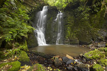Horseshoe Falls, Matai Falls, Catlins, South Otago, South Is... von Danita Delimont