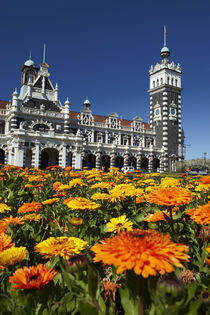 Spring Flowers and Historic Railway Station, Dunedin, South ... by Danita Delimont