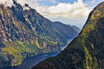 New Zealand, South Island, Fiordland National Park, Milford Sound von Danita Delimont