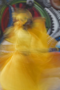 Cuban dancer in motion, Callejon de Hamel, Cuba von Danita Delimont