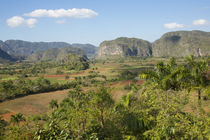 Cuba, Vinales, valley with tobacco farms and karst hills by Danita Delimont