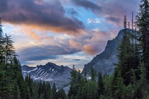 Assiniboine Provincial Park, Alberta, Canada von Danita Delimont