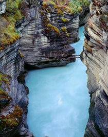 Canada, Alberta, Jasper National Park, Athabasca River has c... by Danita Delimont