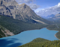 Canada, Alberta, Banff National Park, Turquoise color of Pey... von Danita Delimont