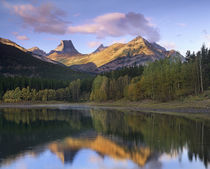 The Fortress at Wedge Pond, Kananaskis Country, Alberta, Canada von Danita Delimont