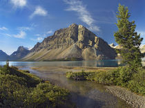Crowfoot Mountain, Bow Lake, Banff National Park, Alberta by Danita Delimont