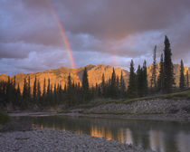 Rainbow over Fairholme Range and Exshaw Creek, Alberta, Canada von Danita Delimont