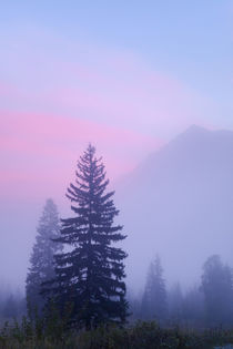 Canada, British Columbia, Mount Robson Provincial Park by Danita Delimont