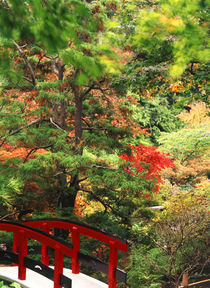 Canada, British Columbia, Victoria, View of Butchart Garden von Danita Delimont