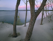Lake Ontario, Sandbanks Provincial Park, Ontario by Danita Delimont