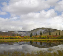 Wernecke Mountains, Yukon, Canada von Danita Delimont