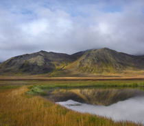 Ogilvie Mountains reflect in a tundra tarn, Yukon Territory, Canada von Danita Delimont