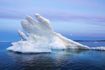 Melting Sea Ice, Repulse Bay, Nunavut Territory, Canada by Danita Delimont