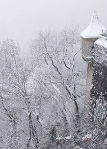 Austria, Salzburg by Danita Delimont