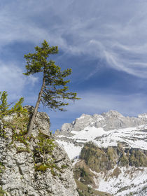 Eng Valley, Karwendel mountain range, Austria by Danita Delimont