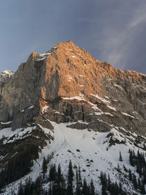 Eng Valley, Karwendel mountain range, Austria von Danita Delimont