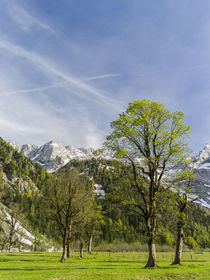 Eng Valley, Karwendel mountain range, Austria by Danita Delimont