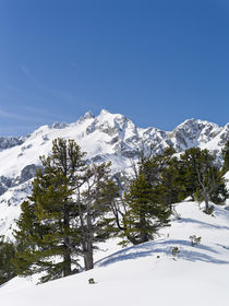 Reichenspitz mountain range during winter, Austria von Danita Delimont