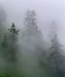 Eng Valley, Karwendel mountain range, Austria by Danita Delimont