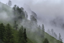 Eng Valley, Karwendel mountain range, Austria by Danita Delimont