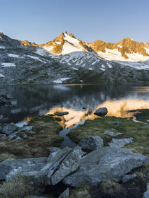 Reichenspitz mountain range, NP Hohe Tauern,Austria von Danita Delimont