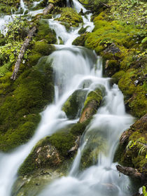 Waterfall in Karwendel valley, Austria by Danita Delimont