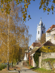 Duernstein in the Wachau, Austria by Danita Delimont