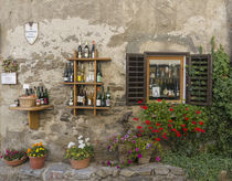 Duernstein in the Wachau, Austria by Danita Delimont