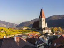 Weissenkirchen, Wachau, Austria von Danita Delimont