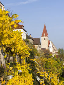 Weissenkirchen, Wachau, Austria von Danita Delimont