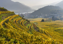 Village of Spitz, Wachau, Austria von Danita Delimont