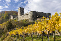 Spitz in der Wachau, Oesterreich by Danita Delimont