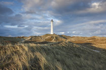 Denmark, Jutland, Danish Riviera, Hvide Sande, Lyngvig Fyr L... by Danita Delimont