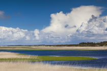 Denmark, Jutland, Nymendegab, view of the Ringkobing Fjord by Danita Delimont